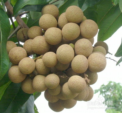生活小知识（二）