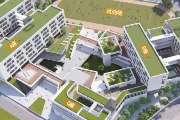 河南单招的学校有哪些