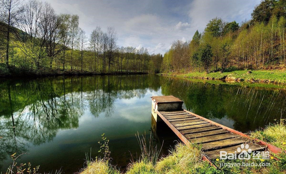 如何调控养殖池塘混浊水色
