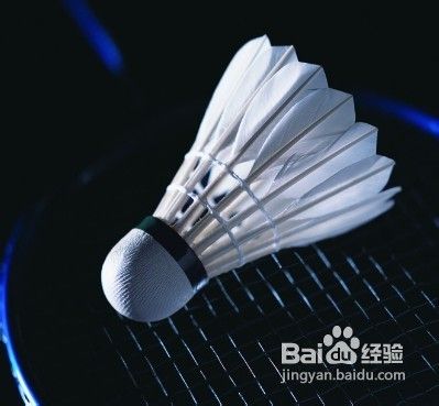 羽毛球单打的战术