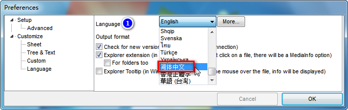 全面详细查看视频音频的编码格式等信息