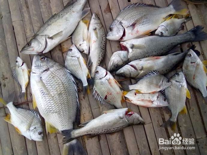 新手海钓注意事项