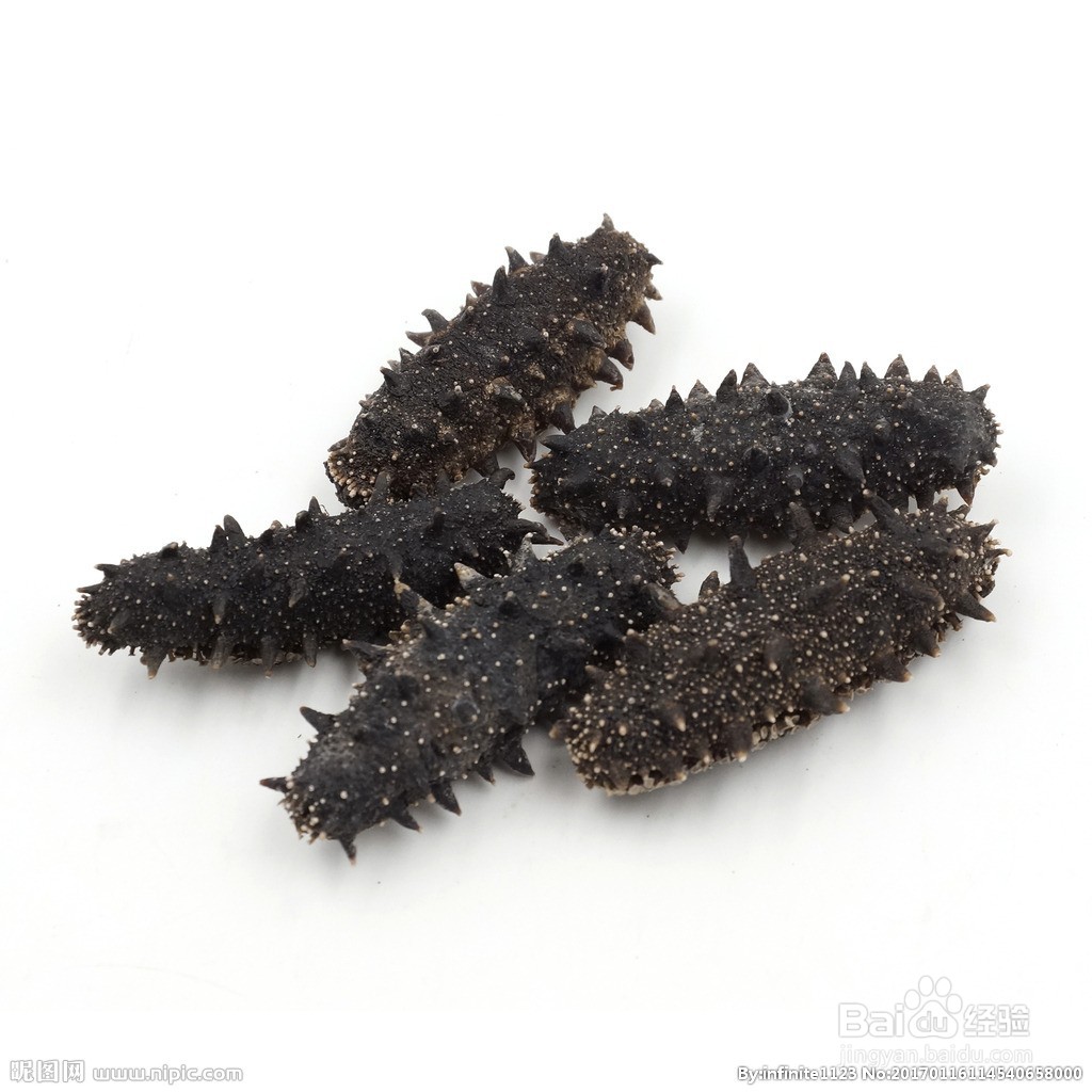 海参的正确吃法有哪些