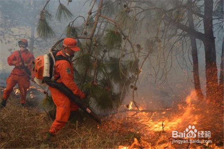 遇森林火灾如何逃生