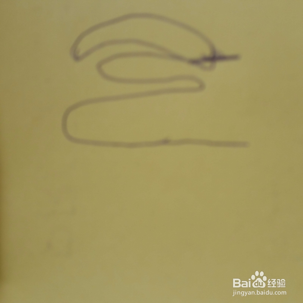 儿童简笔画仙人指盆栽