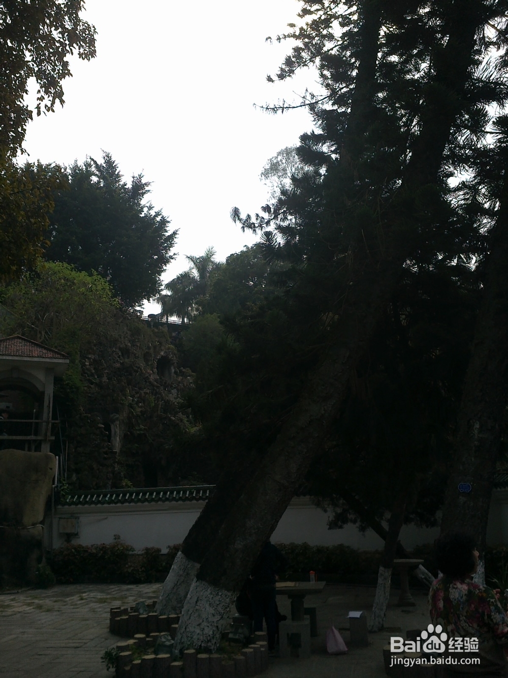 鼓浪屿旅游攻略之菽庄花园