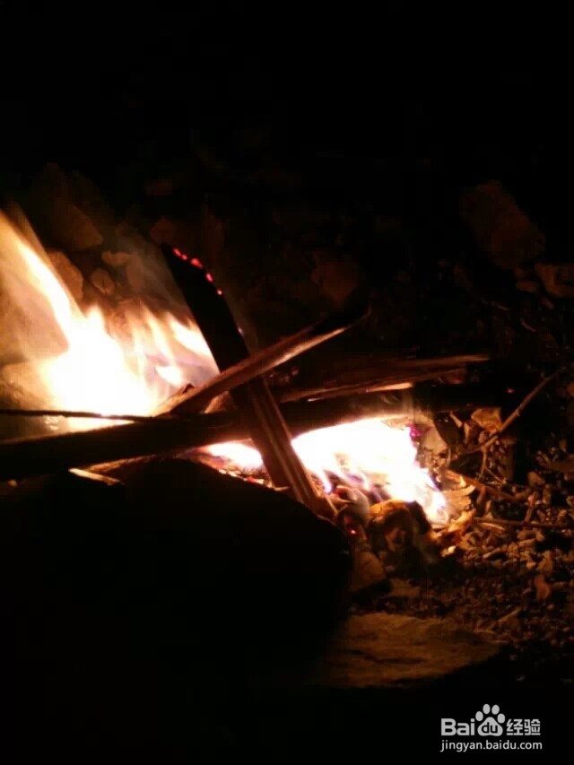 江西省马头山原始森林指南