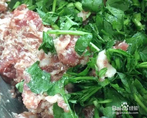 西洋猪肉菜饺子