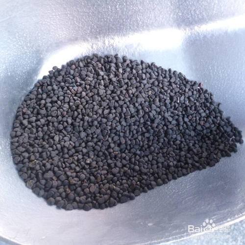 矮牵牛花种子播种方法