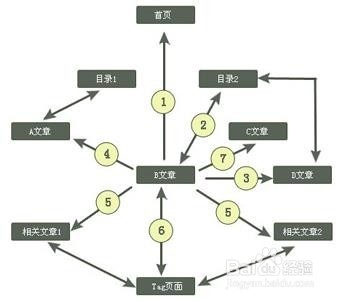 你网站的成功与否始缘于seo优化