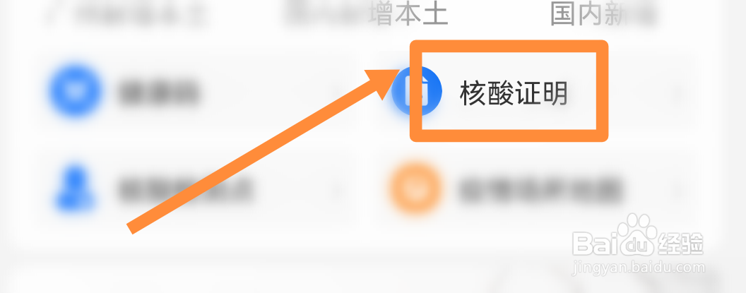 小孩子的核酸证明在哪里查