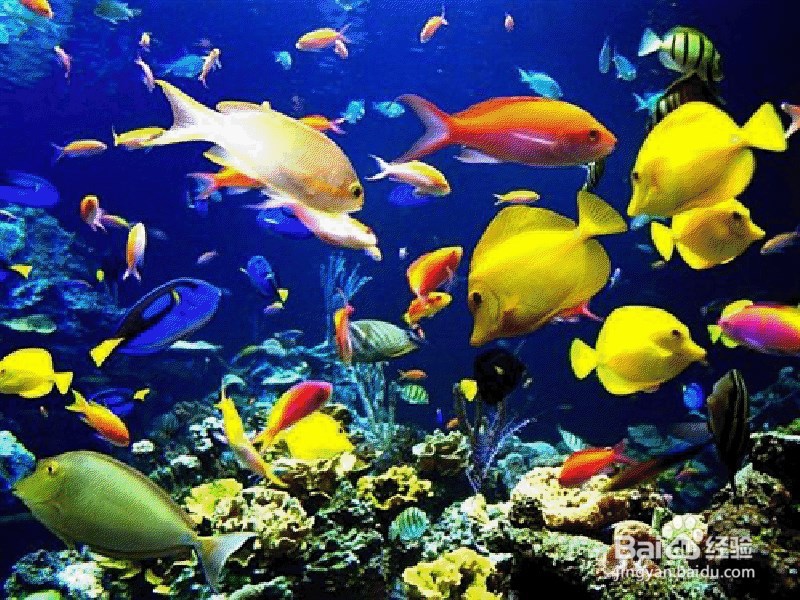 带小孩子旅游，有哪些值得推荐的地方