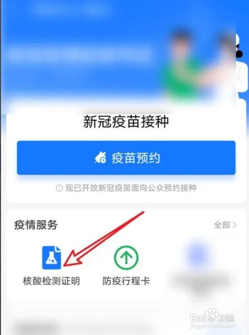核酸证明电子报告怎么查
