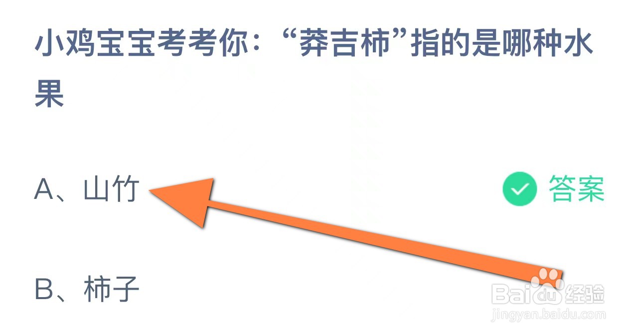 小鸡宝宝考考你莽吉柿指是哪种水果蚂蚁庄园答案