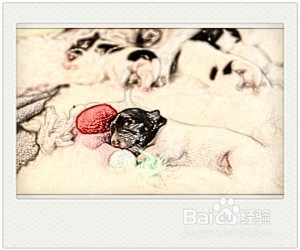 轮状病毒感染能预防吗？