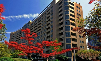 浙江体育职业技术学院是不是省队的