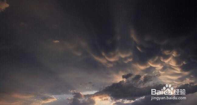 怀孕预猜想之夜梦