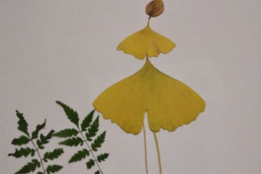 怎么制作树叶贴画