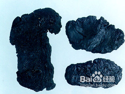 熟地黄的功效与作用以及食用方法