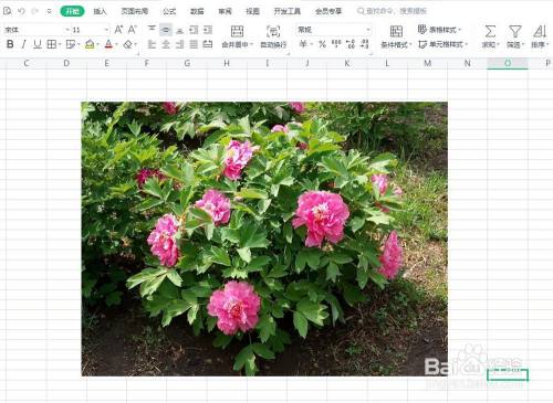 wps表格怎样柔化图片边缘