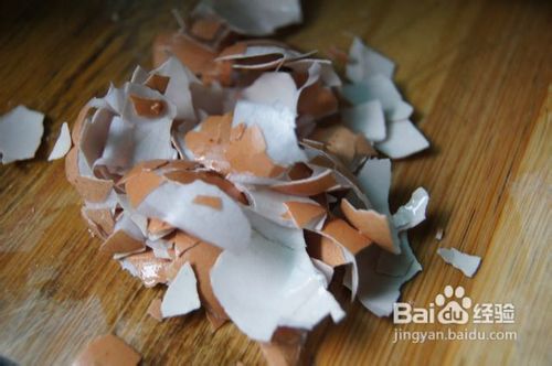 怎么做蛋壳粘贴画