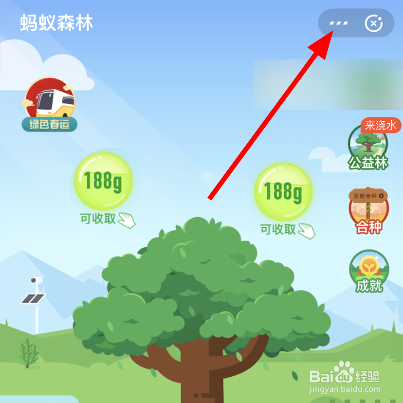 支付宝中怎么隐藏蚂蚁森林能量球数值