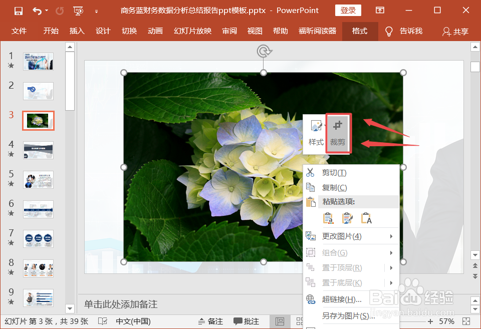ppt中怎么裁剪图片