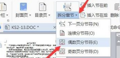 WPS里怎样取消插入分隔符