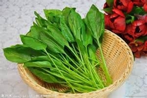 世界公认十大有害食品