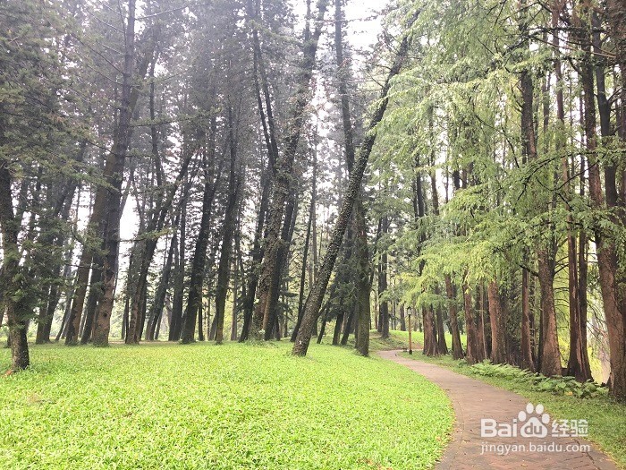 户外旅行，来植物园氧吧吧