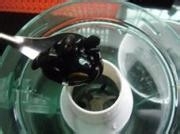美味补血黑豆浆