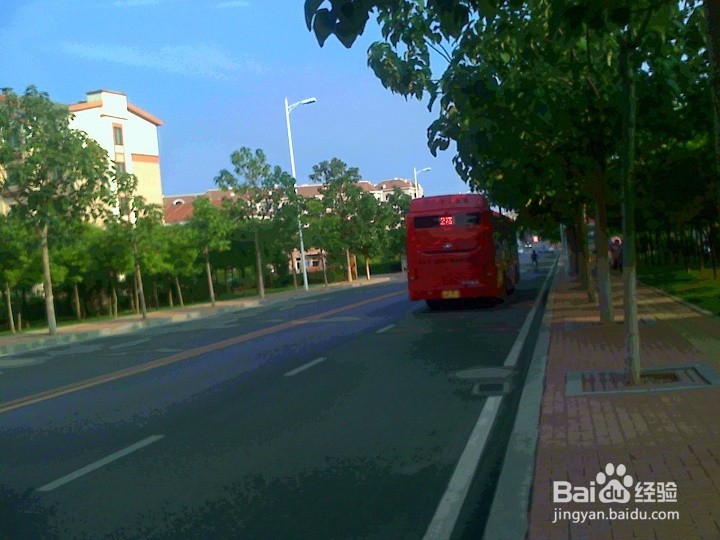 散步携带宠物狗要安全出行