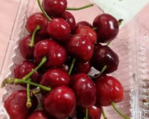 21天减肥法会反弹吗