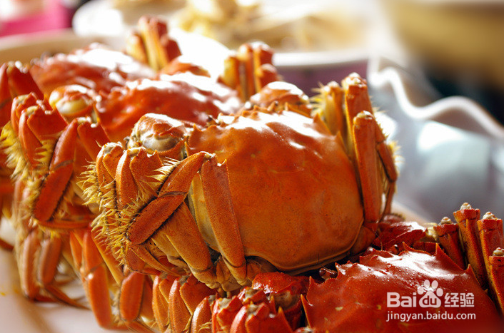 阳澄湖自驾旅游攻略