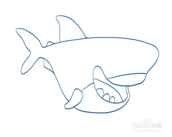 简单鲨鱼的画法