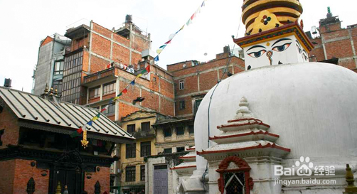 品茗尼泊尔高山茶叶