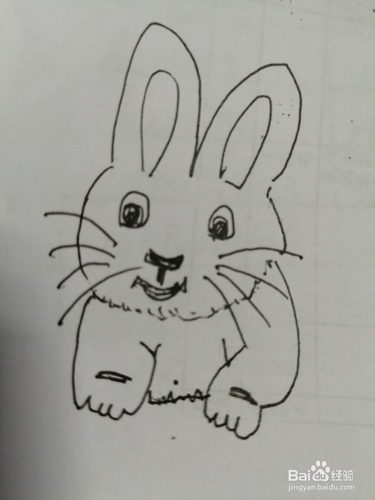 简笔画小白兔怎么画