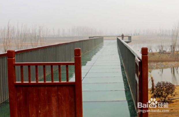 焦作周边风景名胜有哪些