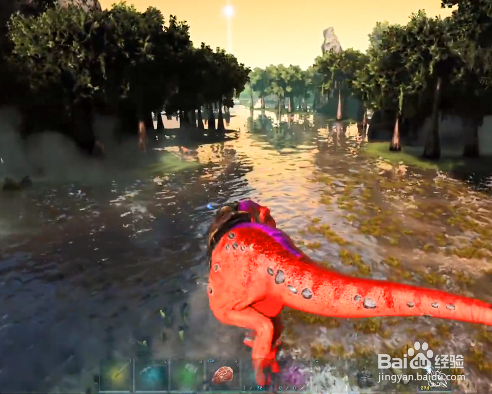 方舟水蛭血怎么用