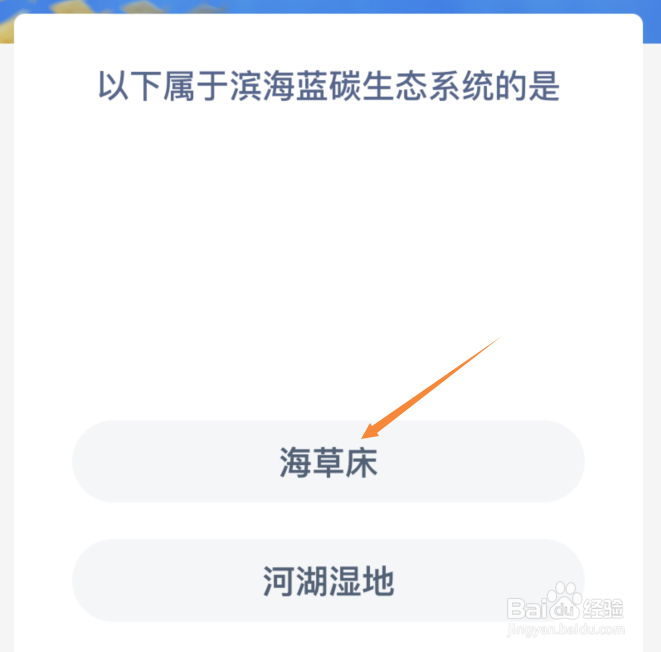 以下属于滨海蓝碳生态系统的是