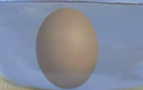 如何辨别鸡蛋好坏