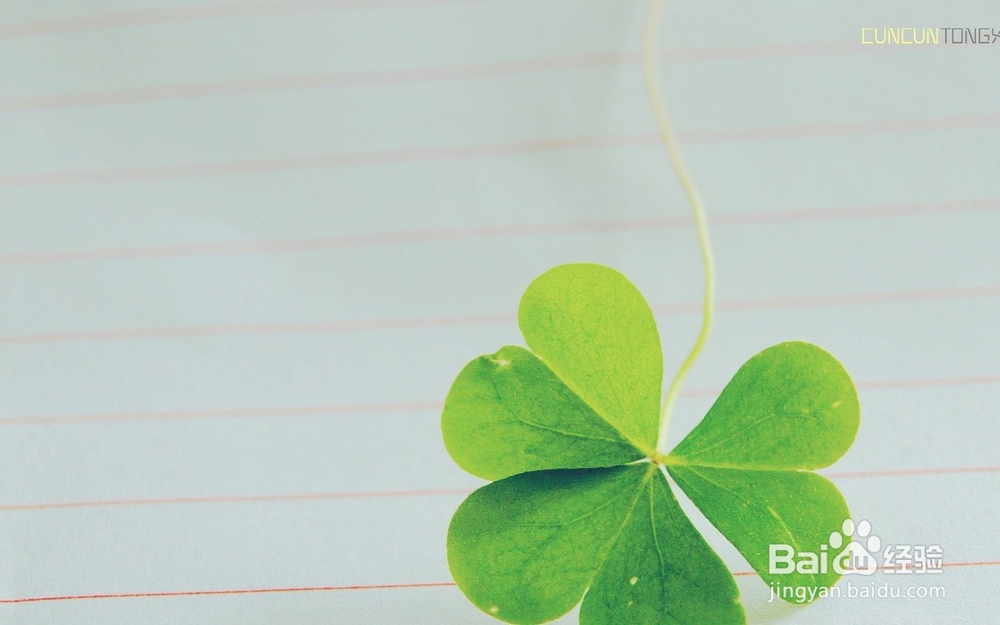 为什么会长粉刺