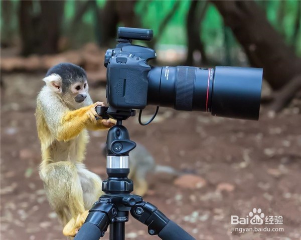 怎样拍出有想法的照片?