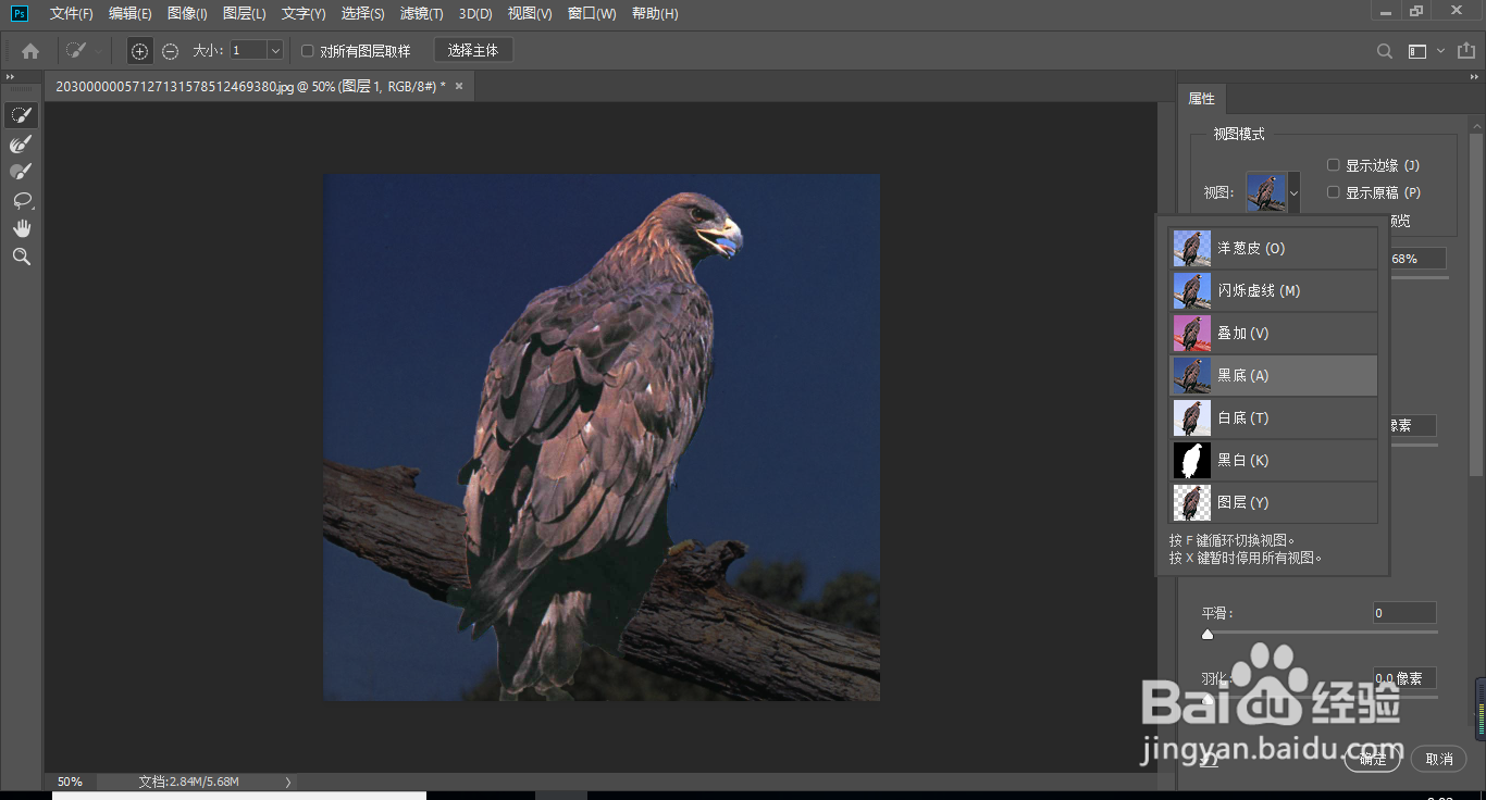 ps抠图，最新最快速的抠图技巧