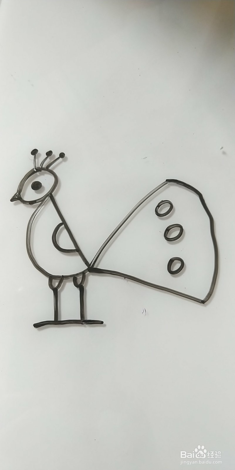 怎么画简笔画孔雀？