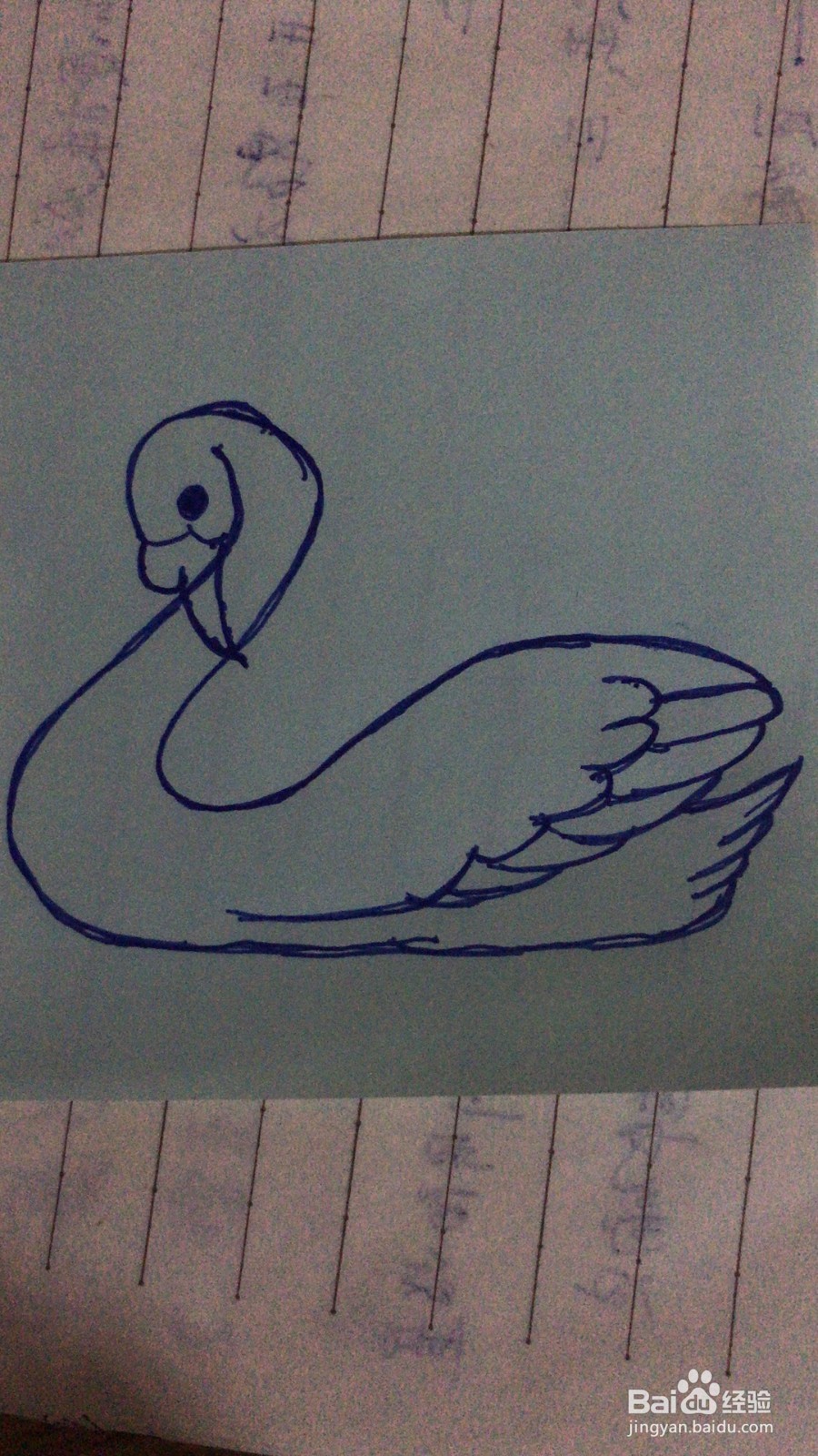 简笔画之大白鹅的画法