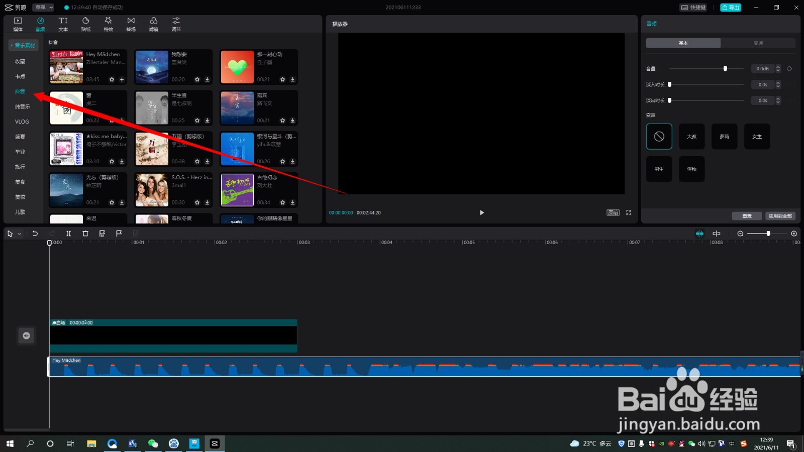 剪映专业版如何使用自动踩节拍功能踩点