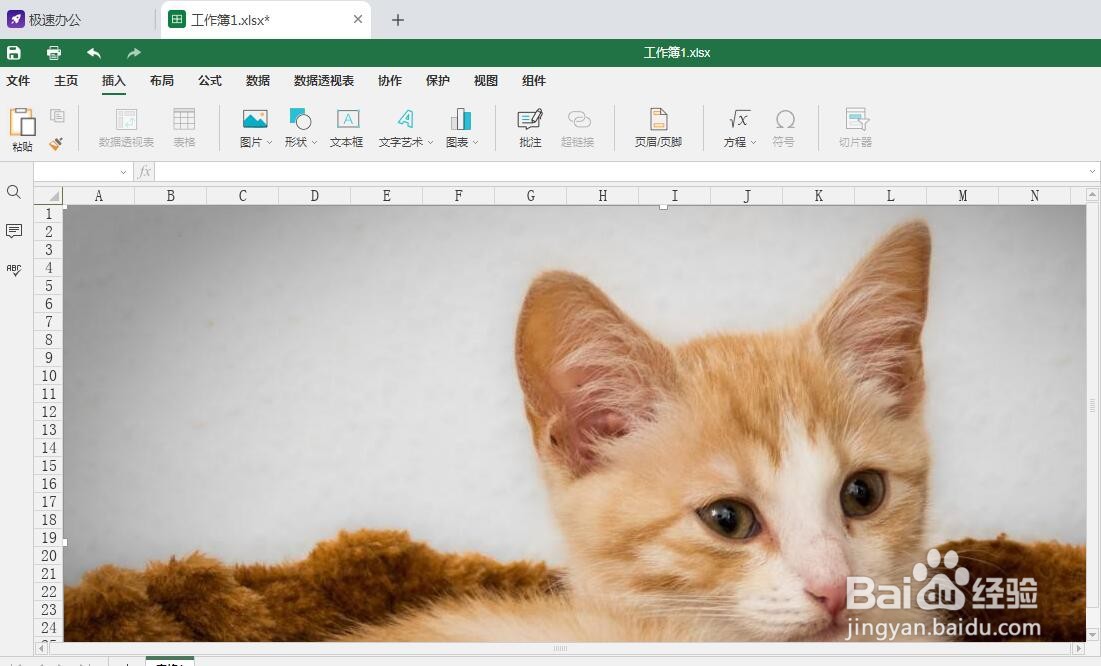 (Excel)中插入的图片怎么铺满整个页面