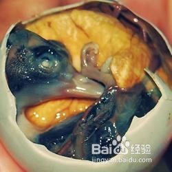 什么样的鸡蛋不能多吃？