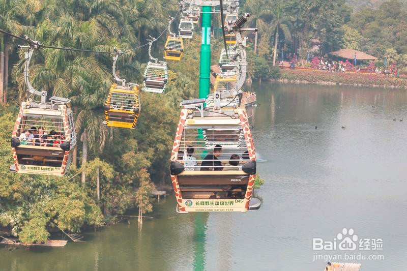 广州长隆野生动物世界攻略1